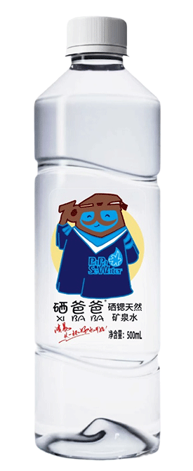 500ml瓶装水